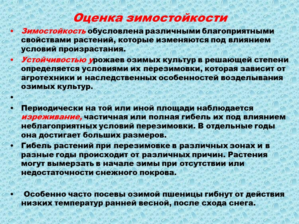 Оценка зимостойкости Зимостойкость обусловлена различными благоприятными свойствами растений, которые изменяются под влиянием условий произрастания.